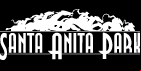 Racetrack Logo